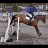 ChristaDillon3's profile picture. Blackhill Eventing on FB christadillon8 on TikTok buying options for book https://t.co/8XqAzo77Xv