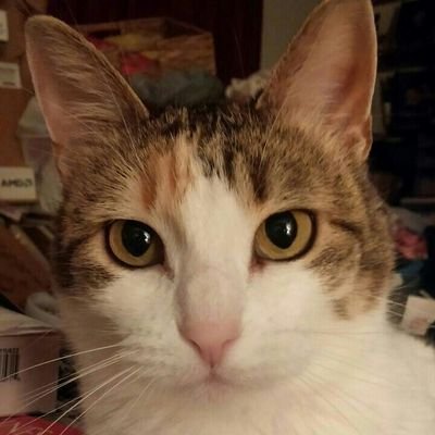 jspaulding0879's profile picture. 