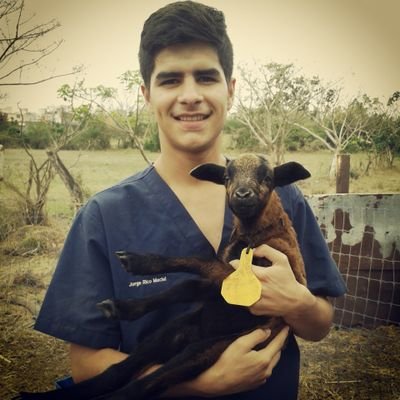 Rockstar y Futbolista frustrados.

#VetLife 
🐶🐱🐴🐮🐷🐏
Gunner, Giallorosso, Dortmund, Cementero, Dodger, Red Sox y Raven.
