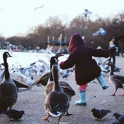 com_alnaif's profile picture. ارقى العطور اللاخلاق من تميز بها لن يجف اثره مدى الحياه....AlNaif