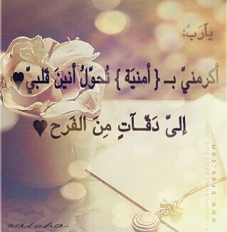‏‏‏لا اله الا الله♡