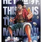 始めたばかりですけどONE PIECE好きはフォローお願い致します( *´艸｀)