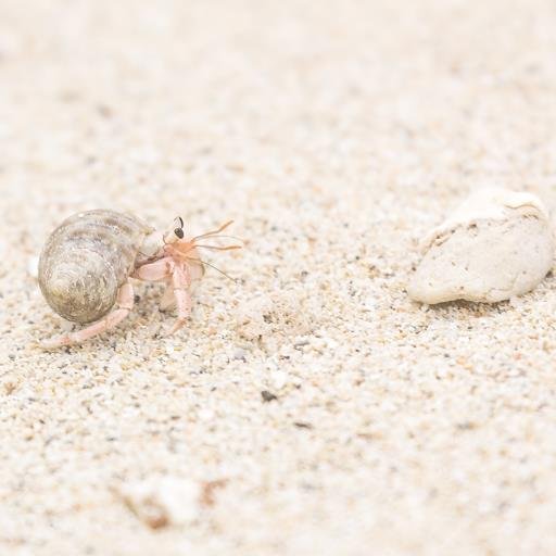 DefinitRnosrvis's profile picture. 運気上げるコツをツイートします。  ためになったらＲＴしてあげて下さいね