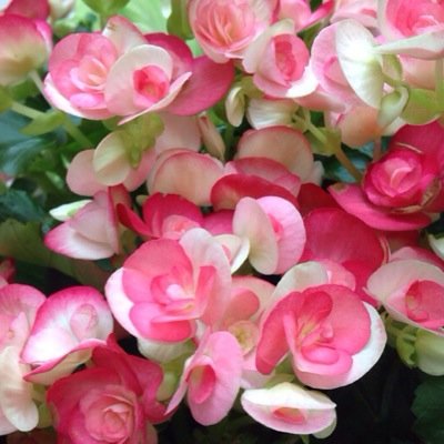 katkatlam's profile picture. Training and Business Development Manager