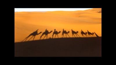 الحساب للجميع و لخدمة أهل الابل مجانا - للتواصل على الخاص او الاميل ...