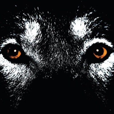 OracOfDelphi's profile picture. 