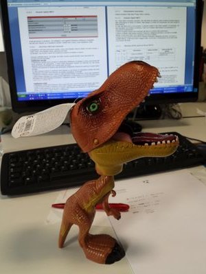 mtcatilina's profile picture. 