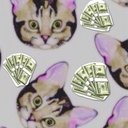 Rich Cat - @RichKat4 - Twitter