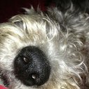 Helen Schofield - @schofield1969 - Twitter