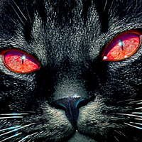 uezdina_h1399's profile picture. 