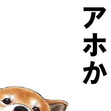 アホな回答など、マジでわらえる学生たちをツイートします