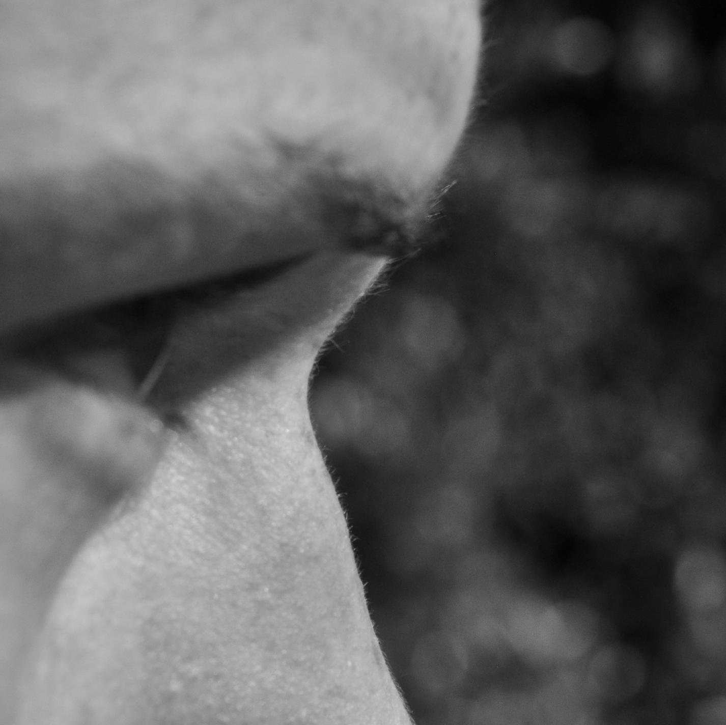 Cgsouter's profile picture. #photographer