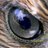 Halcon_Eye's profile image