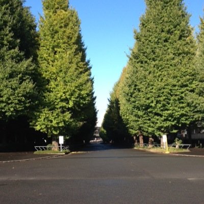 音楽とかゲームとか旅行とか