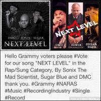 Next Level DSS (@nextleveldss) 's Twitter Profile
