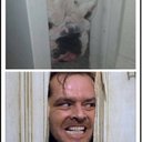 Eric Yocom - @YocomEric - Twitter