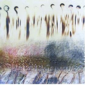 n_sallih's profile picture. 