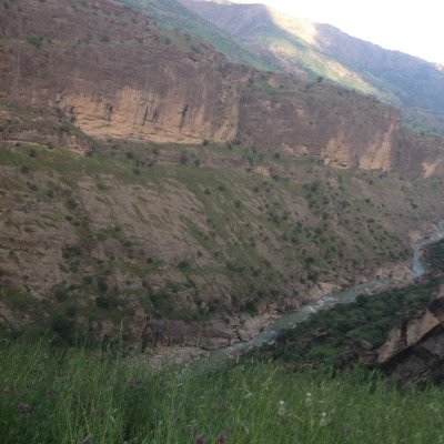 کەم بژی و کەڵ بژی