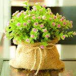 KupriyanXWp7's profile picture. 