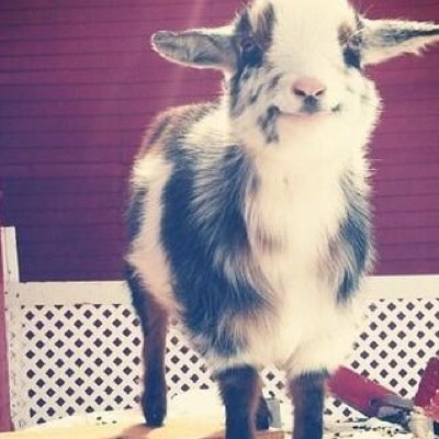 Heres a free follow, because you deserve it ☺ follow my personal? @queengrace_m