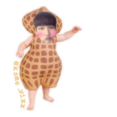 한상혁/びくすおんり垢/９７/豆類同盟/低浮上ごめんね/