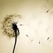 Live & love life!