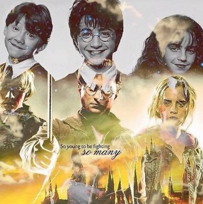 Jsem velká fanynka Harryho Pottera .