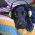 Jose Garcia H (@jmghyeste9) Twitter profile photo Jose Garcia H (@jmghyeste9) Twitter profile photo