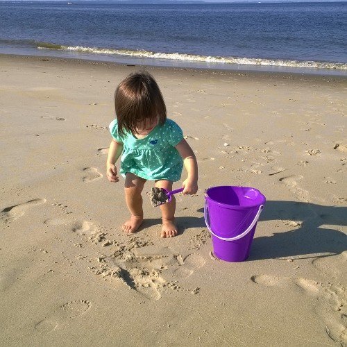 BarbaraKrumbine's profile picture. Second grade teacher, mom, wife, lover of animals,  books and the Yankees!