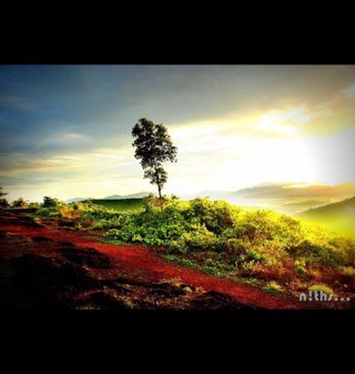 LalasHasan's profile picture. 