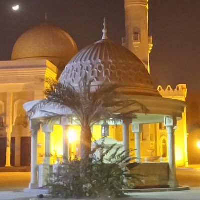 Alfaisal12340 Profile Picture