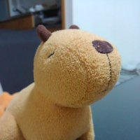 かぴもり (@kapimory) Twitter profile photo