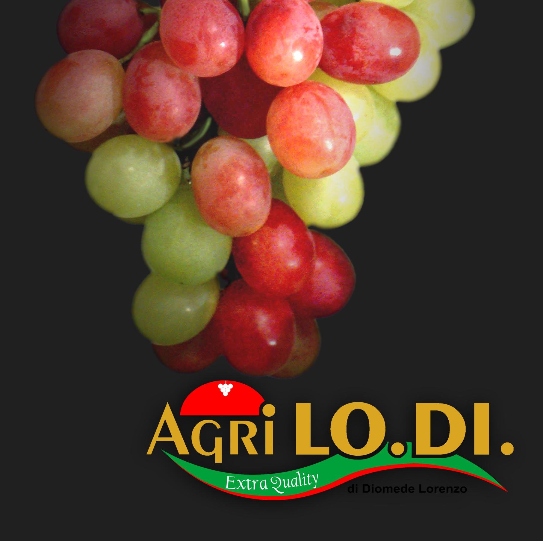 Agri Lo.Di.