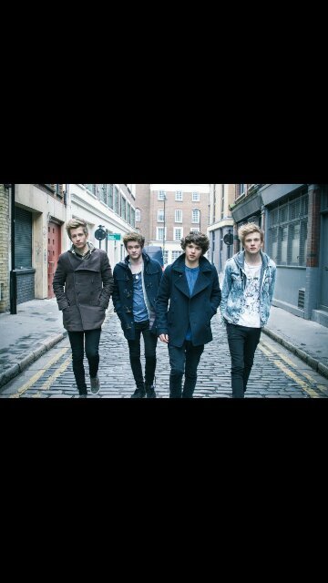 fan of the vamps and one direction (☆^O^☆)