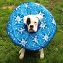 John Sloboda - @j_sloboda - Twitter