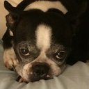 Martha Hatfield - @qrkie1 - Twitter