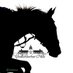 Chattahoochee Hills (@chatthills) Twitter profile photo