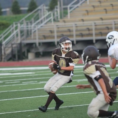A lion does not concern himself with the opinion of a sheep #R4L