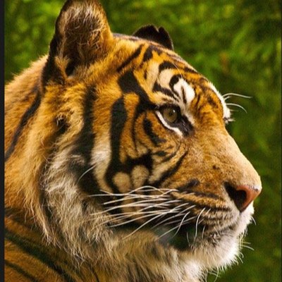 „Lass' dir dein Leuchten nicht nehmen, nur weil es andere blendet.“