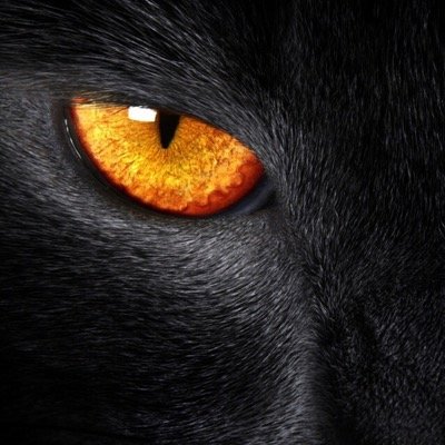 •♥•Qataria Lady