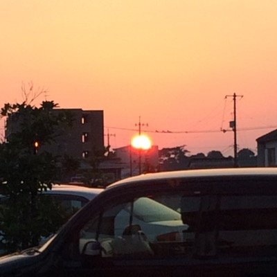 陽気なおバカさんです