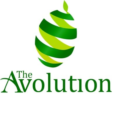 CEO of The Avolution, a unique grower owned and focused business marketing fresh avocados, lychees, mangoes and other fruit all over Australia and the world.