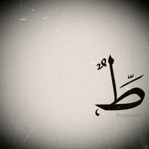 حسناً ... المفضله ( الإعجابات) قلم أوشك أن ينتهي حبره ..