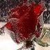 hacer-metin (@hacerkaza) Twitter profile photo