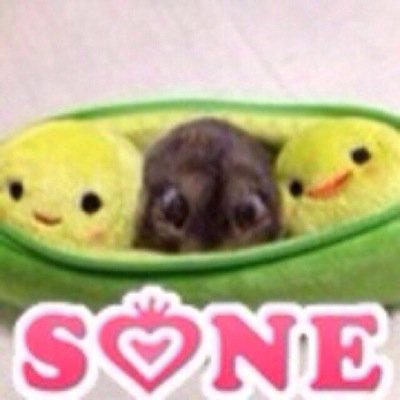 치카＊ちかさんのプロフィール画像