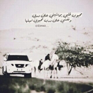 salha__91's profile picture. 