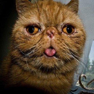 pt_wallace42's profile picture. Add me on ps3. Im solo looking for a team.