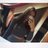 xLLLisa_'s profile image