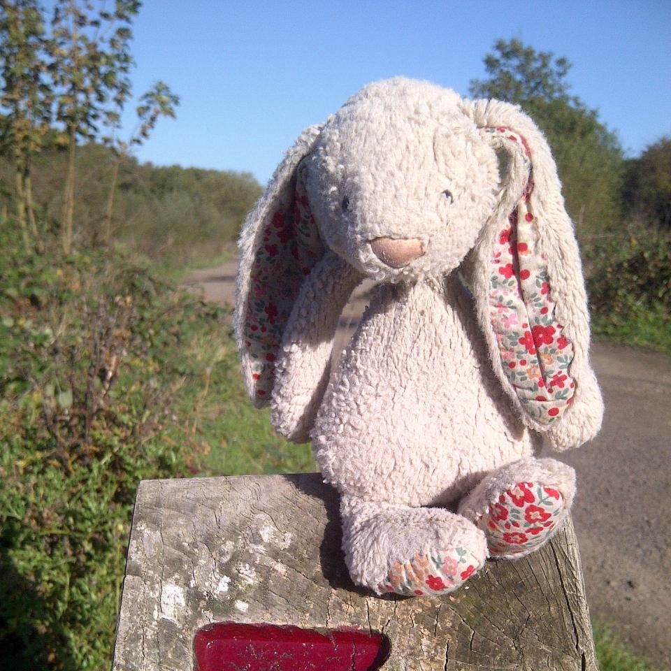 A Well Loved Bunny lost & found in Epping Forest. After months in the lost property box I have been adopted by Julie. Follow me to find out about my adventures!