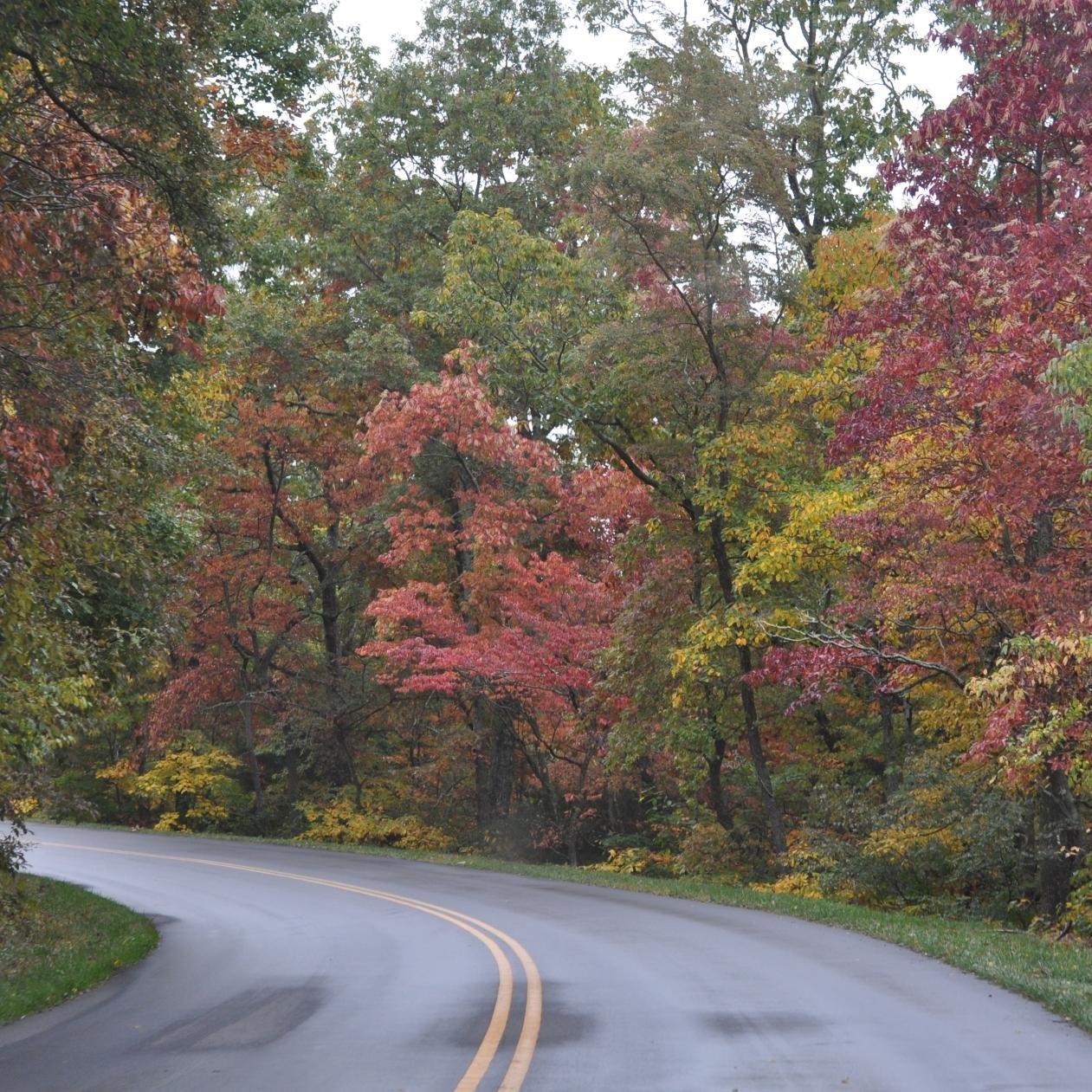 reznor_lover's profile picture. Do unto others...